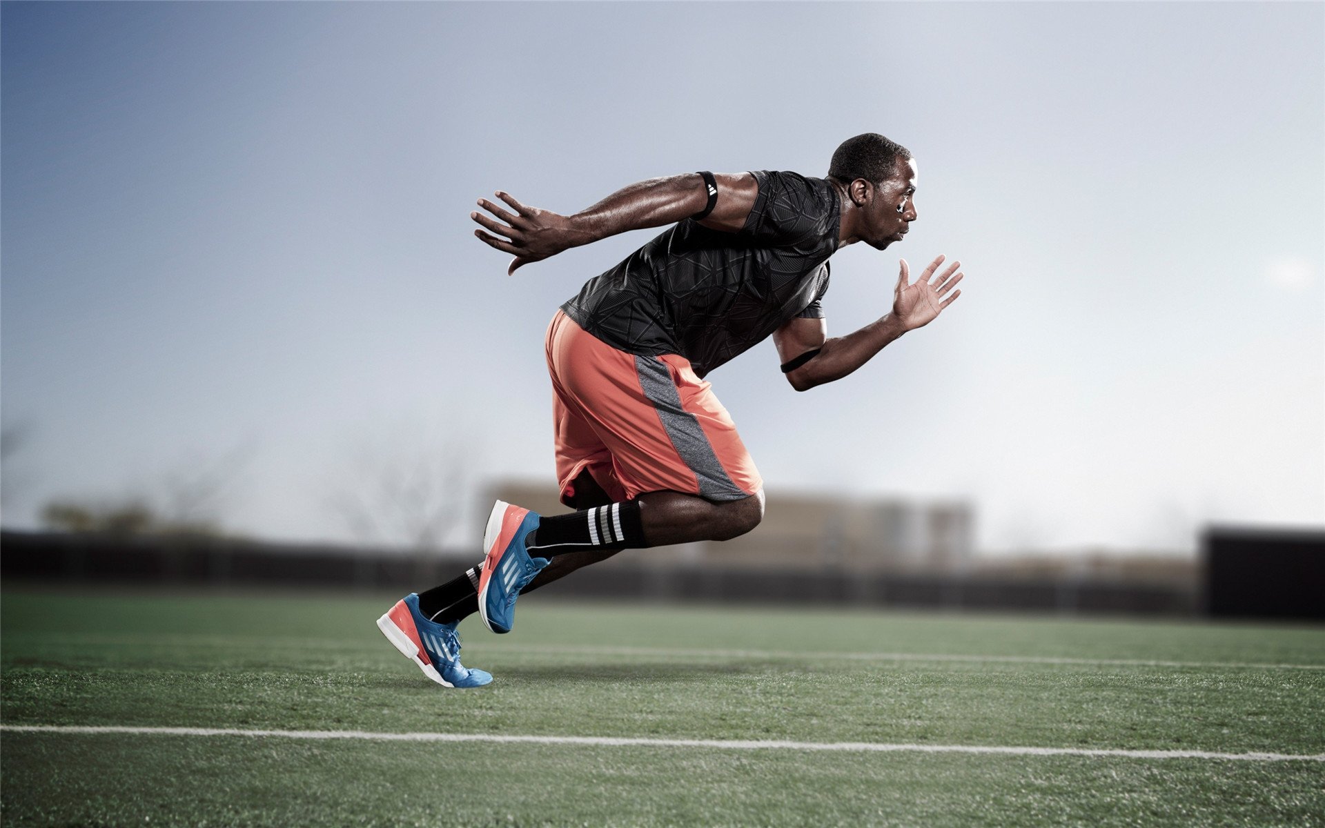 荷兰仰泳技术细节打磨到位，仰泳speedo